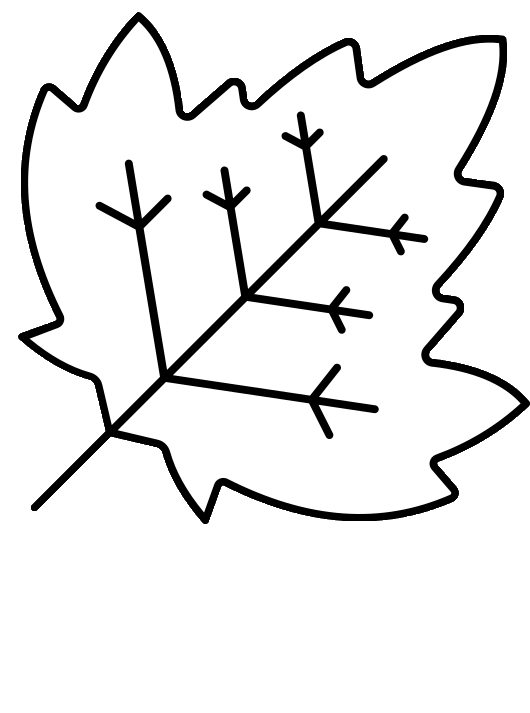 HoneX